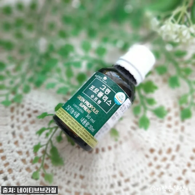 네이티브 브라질 그린 프로폴리스 원액 관련 이미지 1