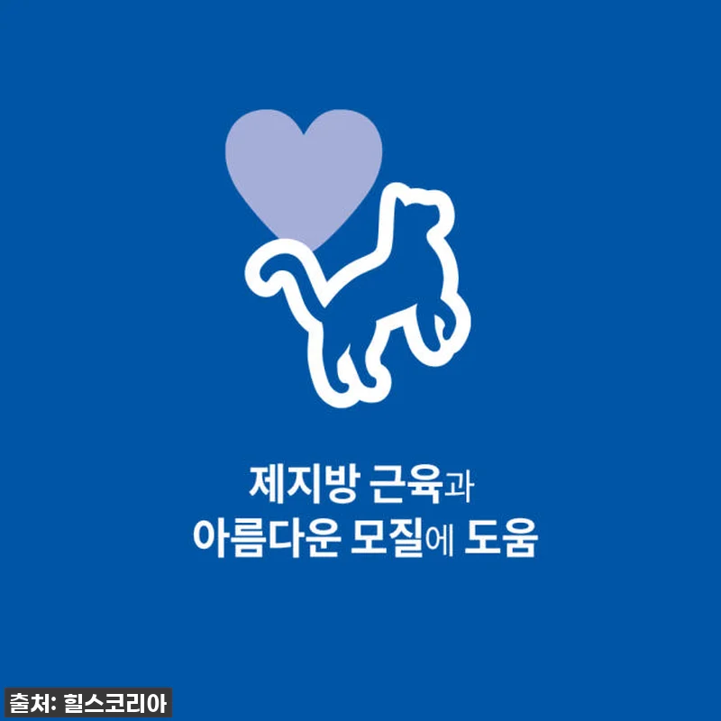우리 냥이들 7년째 최애 사료! 힐스 관련 이미지 1