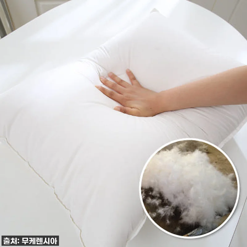 꿀잠의 비밀, 브리즈우드가든 폴란드 관련 이미지 1