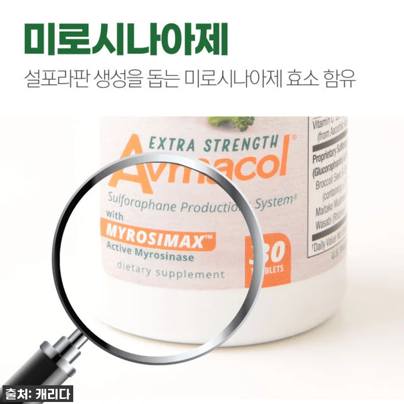 환절기 컨디션 난조 극복! 브로콜리새 관련 이미지 2