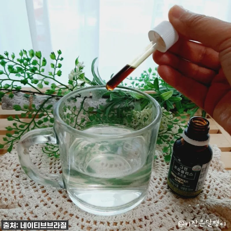 네이티브 브라질 그린 프로폴리스 원액 관련 이미지 2