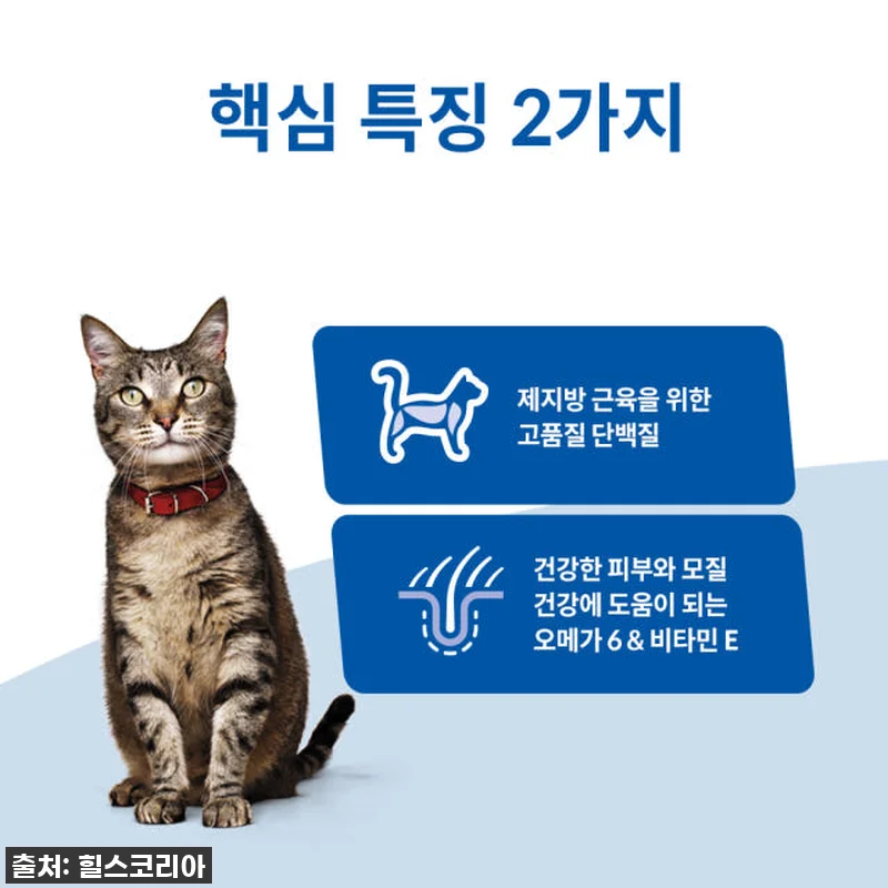 우리 냥이들 7년째 최애 사료! 힐스 관련 이미지 2