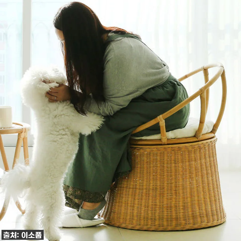 라탄 고양이집 의자 숨숨집 고양이텐트 관련 이미지 2