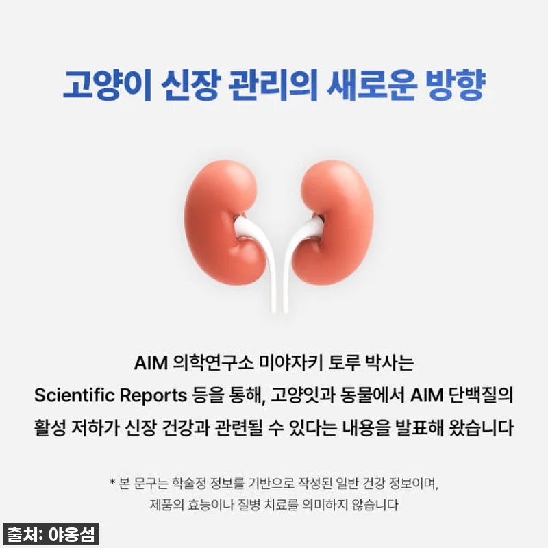 고양이 집사라면 주목! '야옹섬 닥터 관련 이미지 2