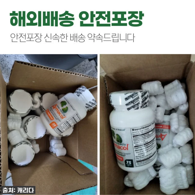 환절기 컨디션 난조 극복! 브로콜리새 관련 이미지 4