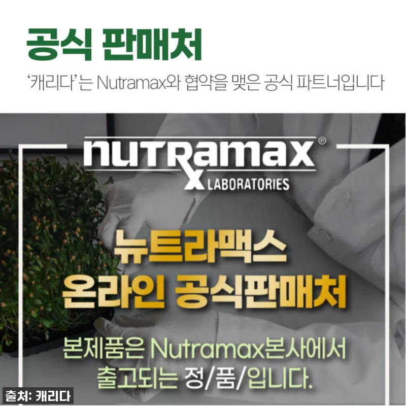 환절기 컨디션 난조 극복! 브로콜리새 관련 이미지 5