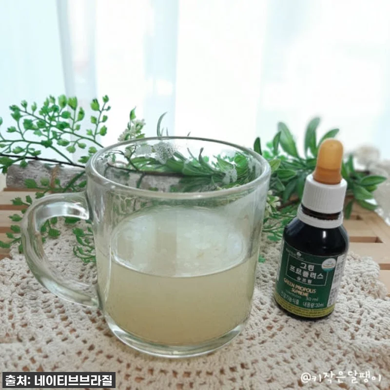 네이티브 브라질 그린 프로폴리스 원액 관련 이미지 5