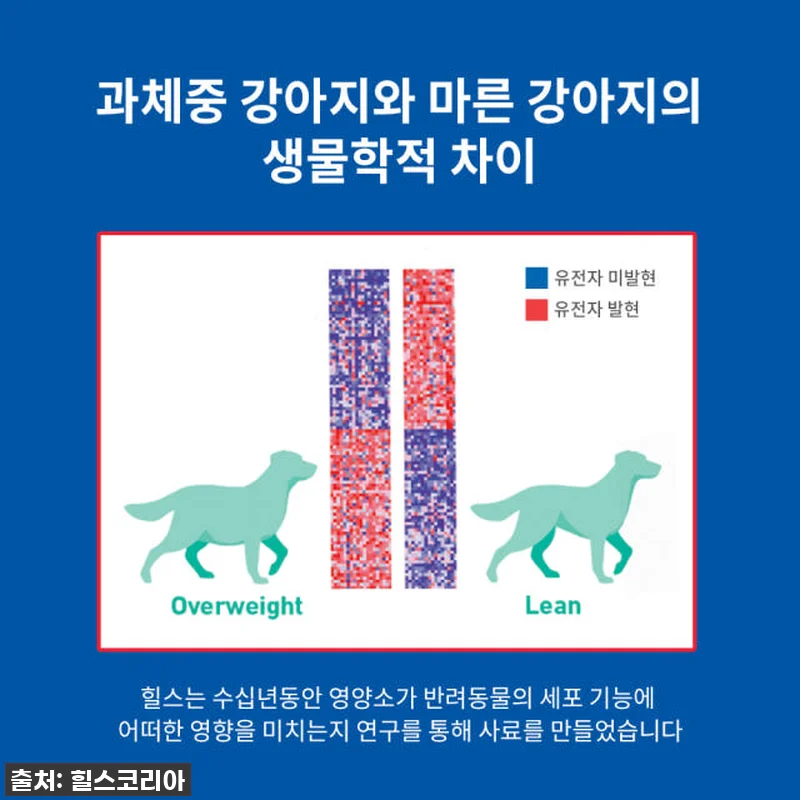 힐스 강아지사료 퍼펙트 웨이트 야채& 관련 이미지 5