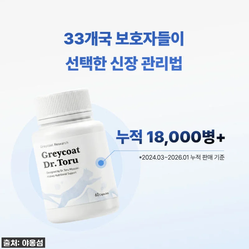 고양이 집사라면 주목! '야옹섬 닥터 관련 이미지 6
