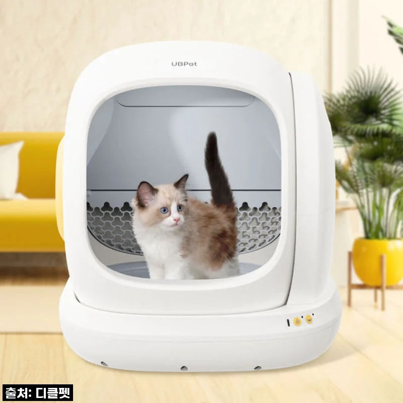 디클펫 자동 화장실, 고양이 집사 삶의 질 수직 상승시킨 솔직 후기!