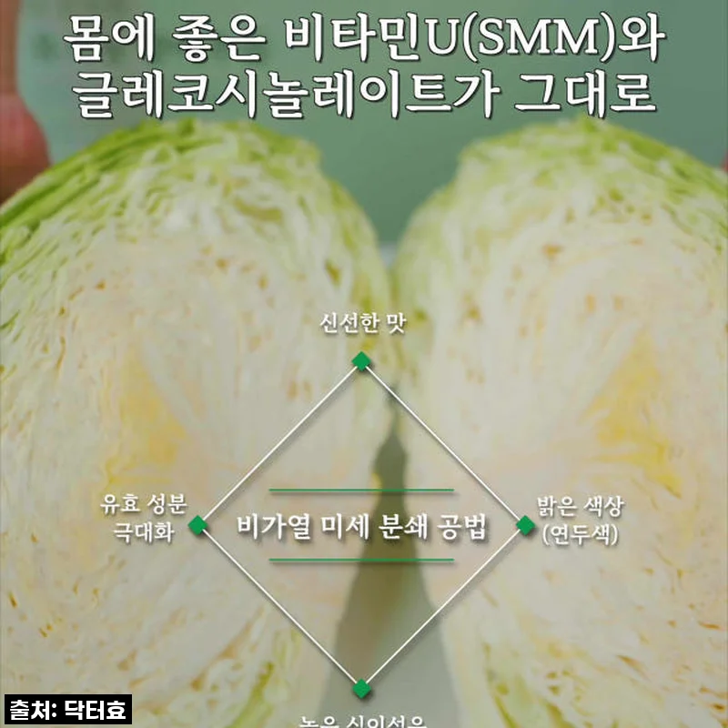 48% 할인 득템! 닥터효 유기농 양배추즙, 속 편한 하루 시작!
