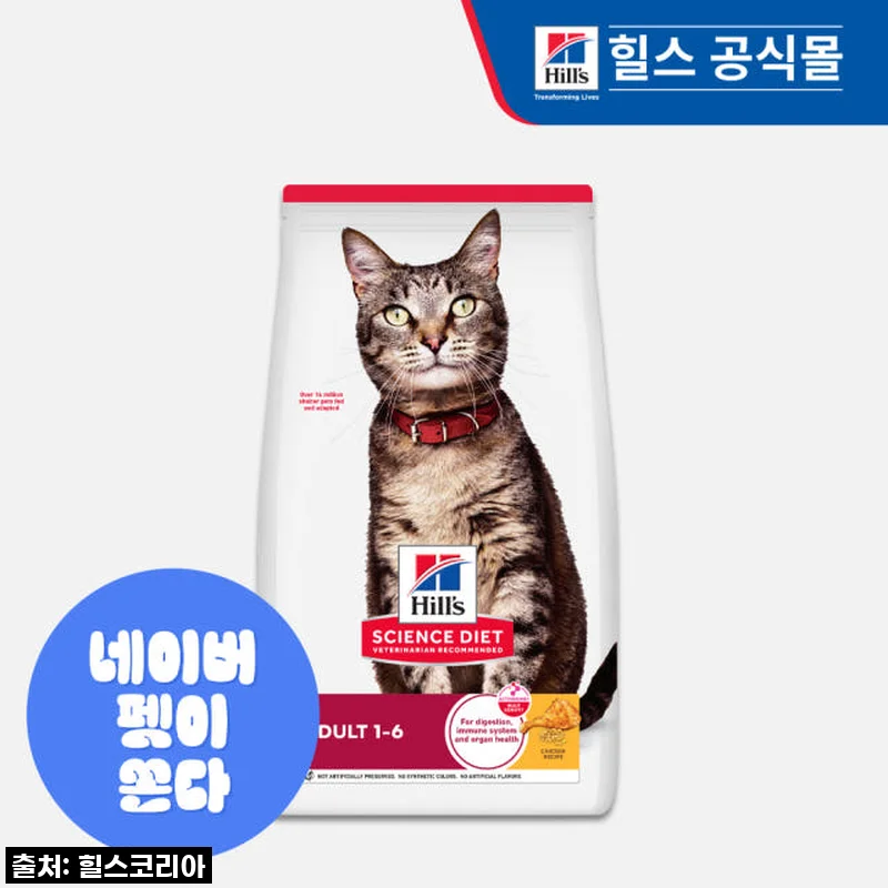 우리 냥이들 7년째 최애 사료! 힐스 고양이사료 어덜트 10kg 대용량 솔직 후기
