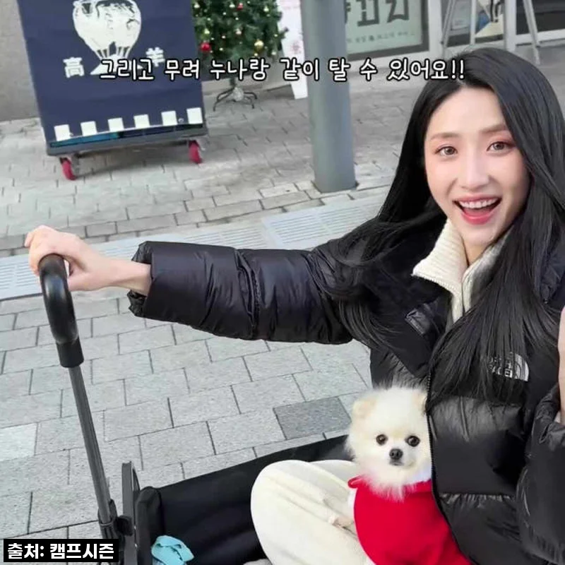 캠프시즌 프리미엄 전동 캠핑 웨건: 짐 운반 걱정은 이제 그만! 직접 써본 솔직 후기