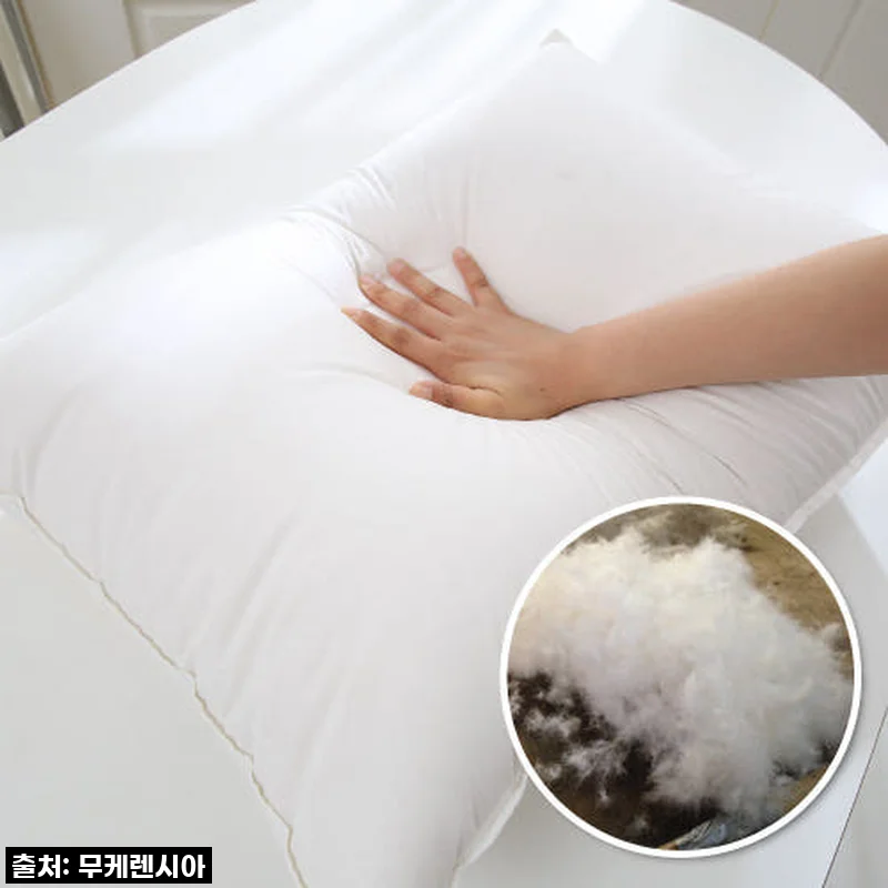 꿀잠의 비밀, 브리즈우드가든 폴란드 구스다운 베개, 직접 써보니 잠이 보약이네요!