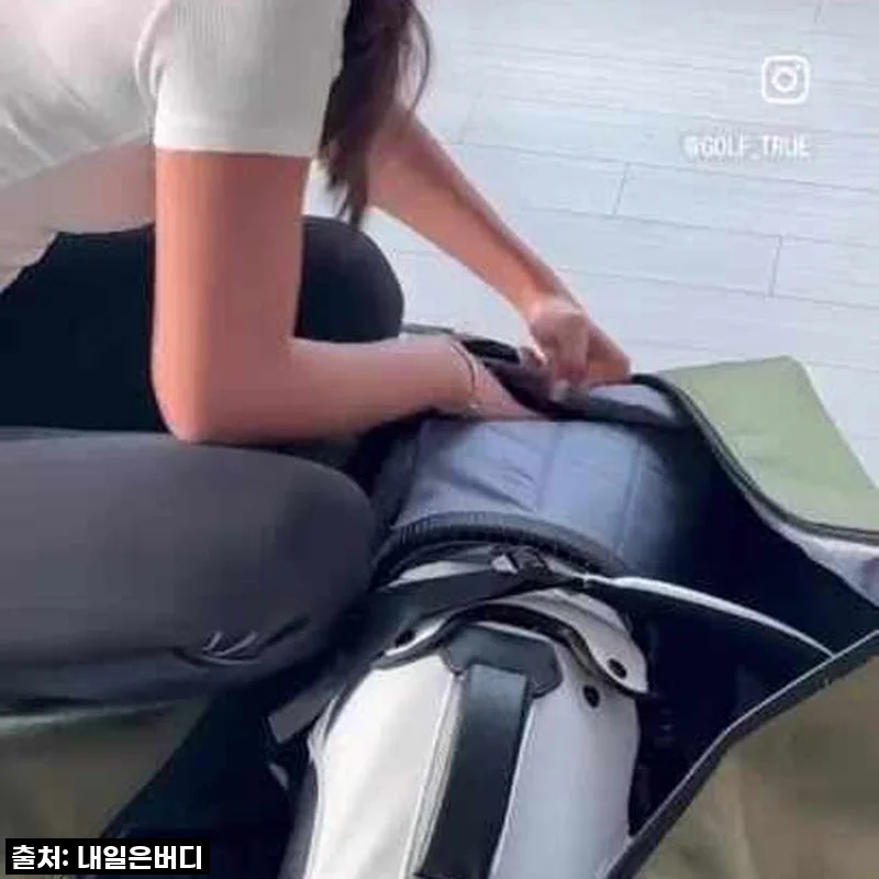 [내일은버디] 골프항공백 프로팩 캐디백항공커버 하드케이스 사용후기