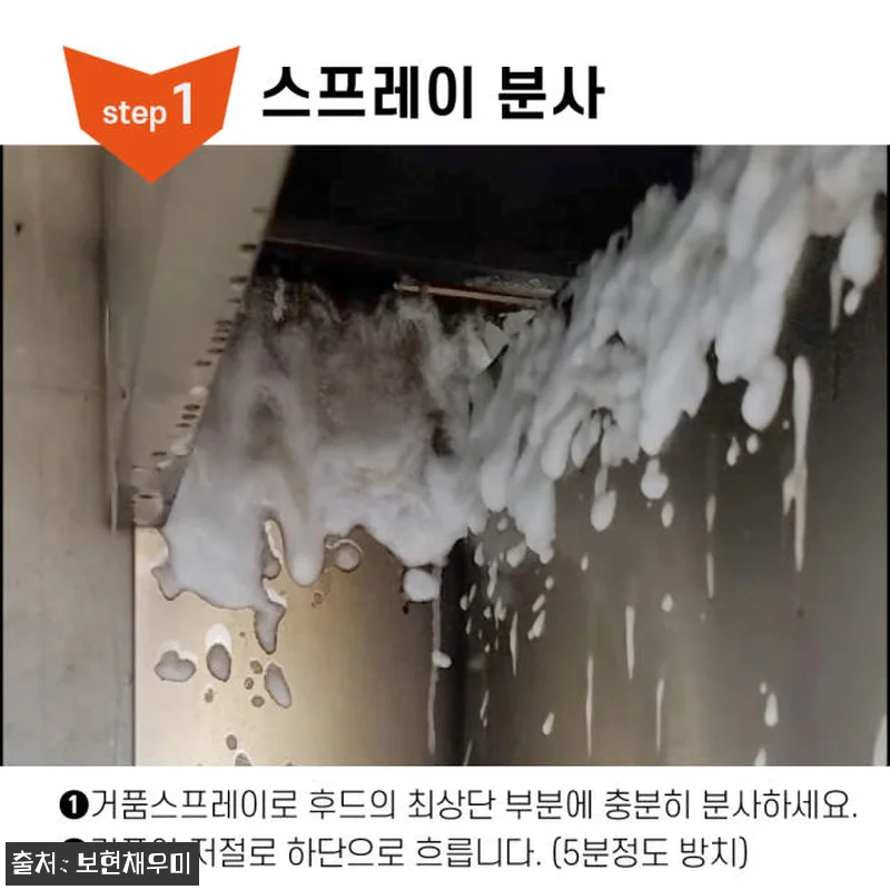 보현채우미 오븐 클리너 10kg 첫 관련 이미지 1