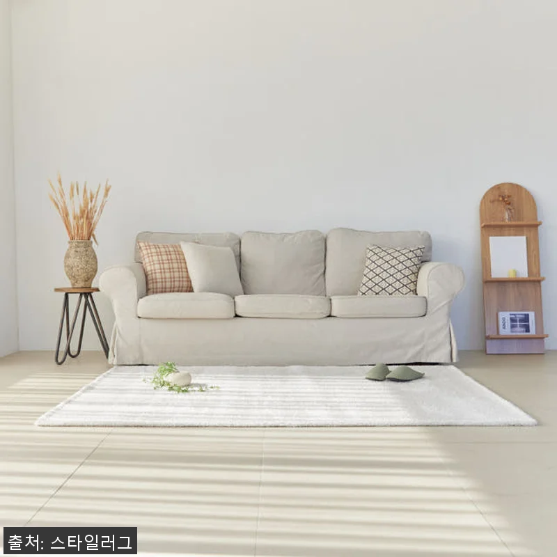 먼지없는 워셔블 장모 온감 러그 대형 관련 이미지 2