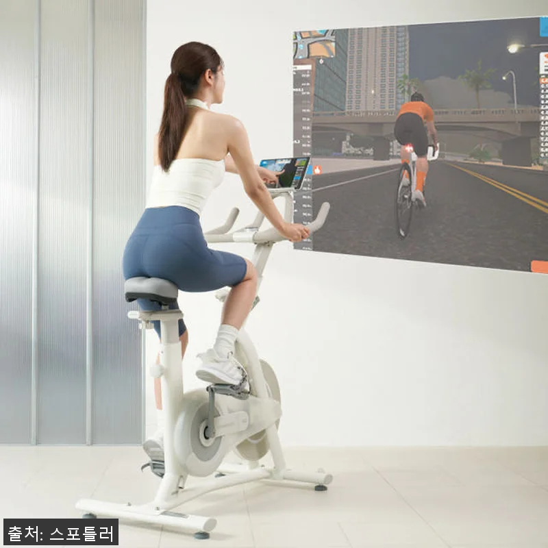 스포틀러 ERG 원더사이즈 스피닝 실 관련 이미지 3