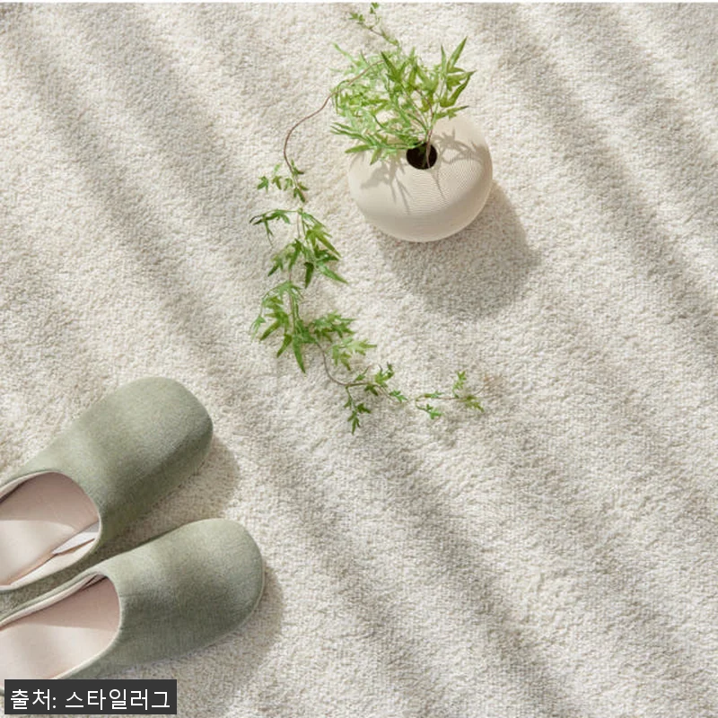 먼지없는 워셔블 장모 온감 러그 대형 관련 이미지 4