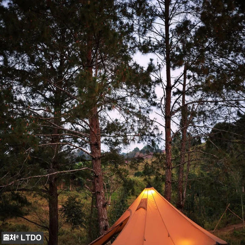 원티그리스 GASTROPOD 캠핑 티 관련 이미지 5