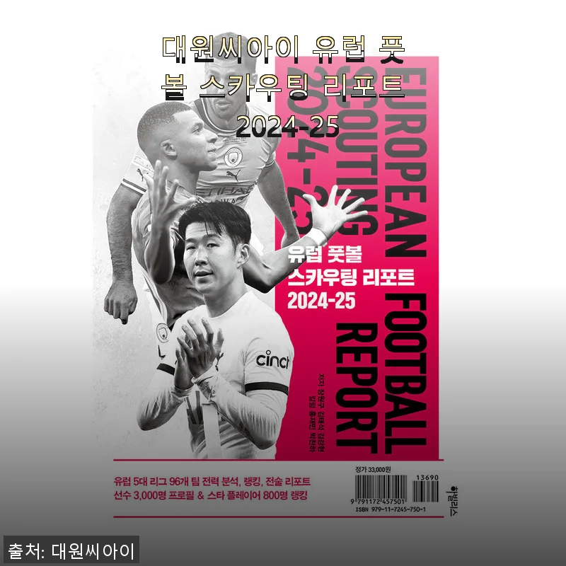 대원씨아이 유럽 풋볼 스카우팅 리포트 2024-25 사용 후기와 상세 소개