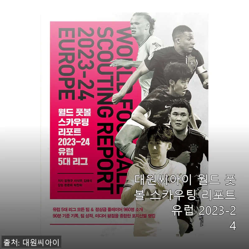 대원씨아이 월드 풋볼 스카우팅 리포트 유럽 2023-24 사용후기와 제품소개