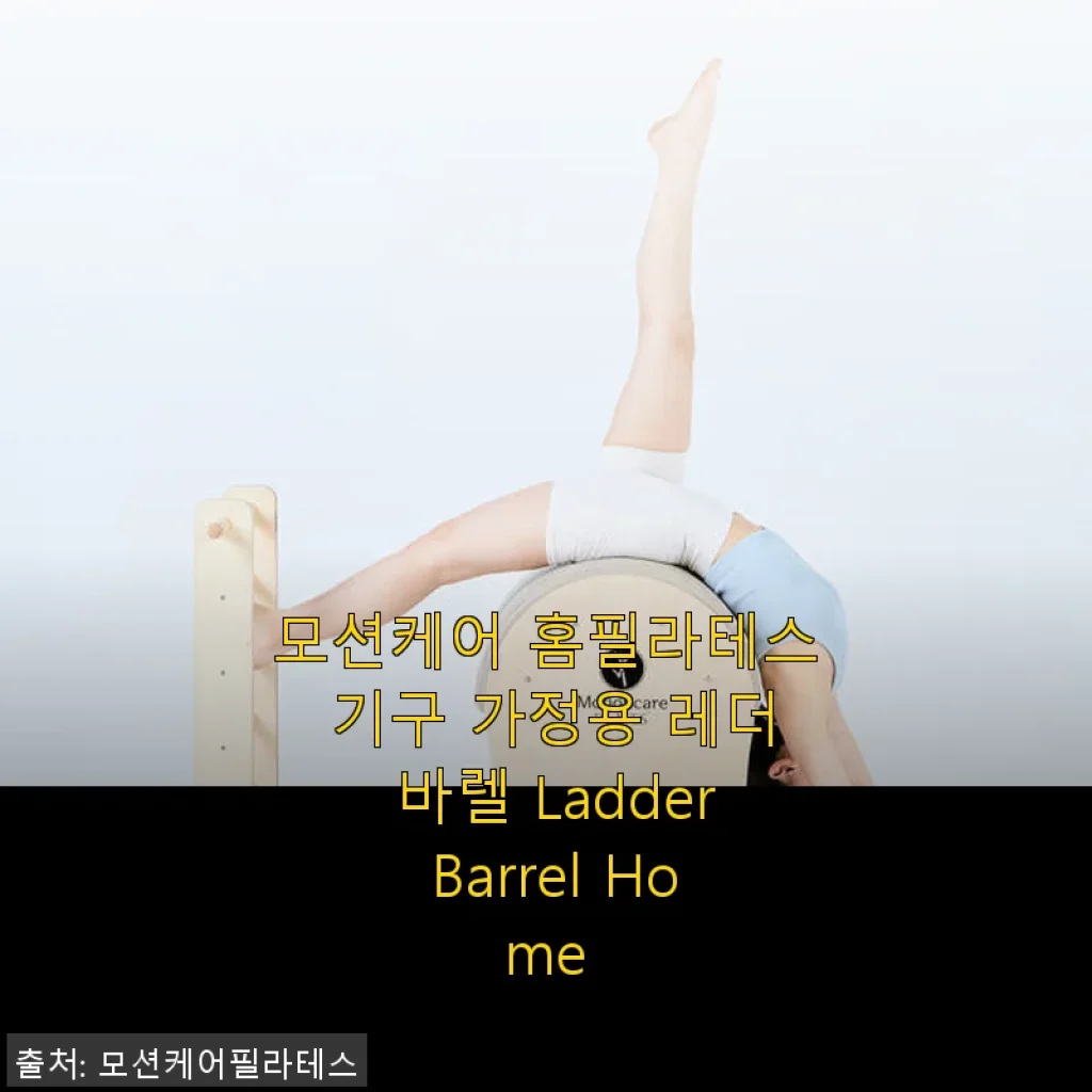 모션케어 홈필라테스 기구 레더 바렐 사용 후기와 집에서의 변화