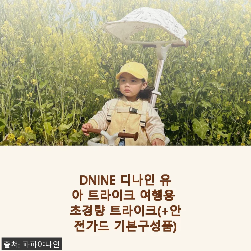 DNINE 디나인 유아 트라이크 사용후기: 아이도 엄마도 만족한 초경량 트라이크