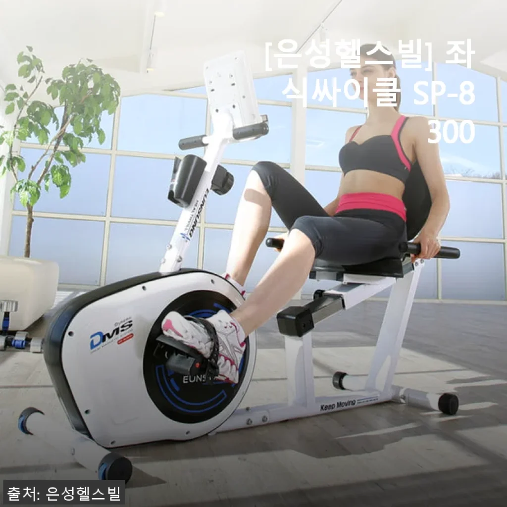 은성헬스빌 좌식싸이클 SP-8300 사용후기: 조용하고 튼튼한 실내 운동기구