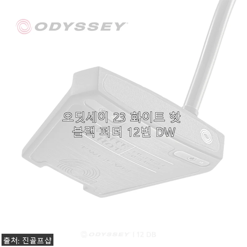 오딧세이 23 화이트 핫 블랙 퍼터 12번 DW 사용후기