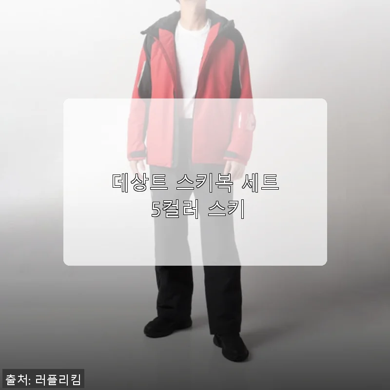 데상트 스키복 세트 5컬러 스키 착용 후기와 상세 소개