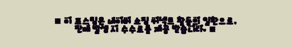 우드벨 원목 키낮은 미니 옷장 좁은방 이불서랍장 사용후기 7 이해관계문구