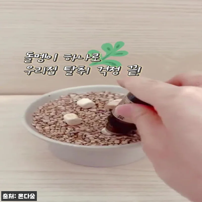 반영구 천연 탈취제 국산 1.5kg 관련 이미지 1