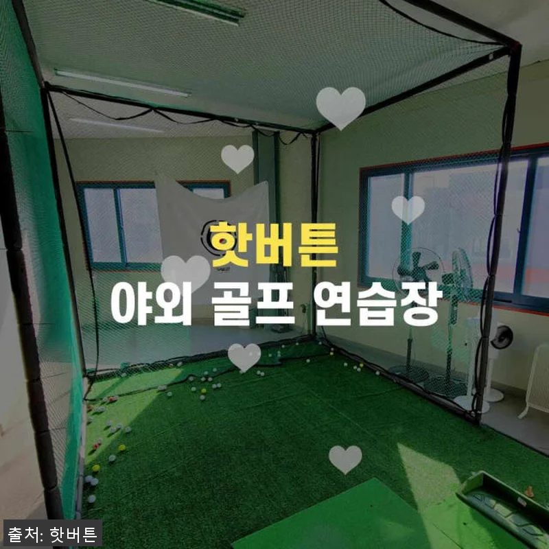 핫버튼 가정용 골프연습장 솔직 사용후 관련 이미지 4