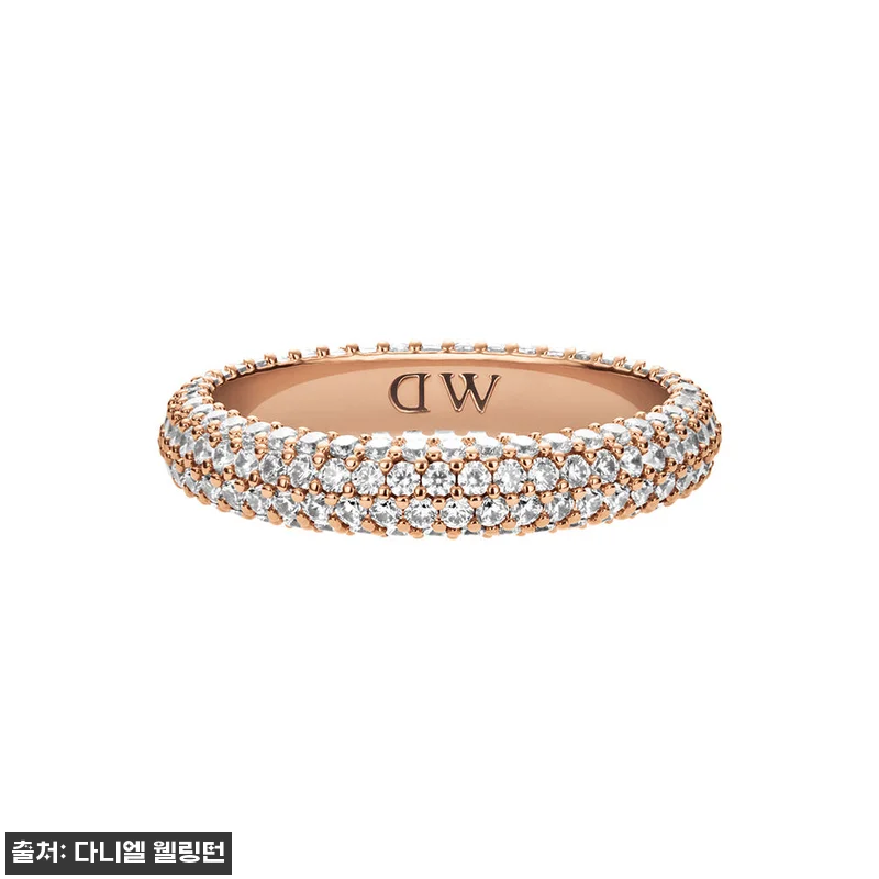 다니엘 웰링턴 PAVE CRYSTAL 관련 이미지 5