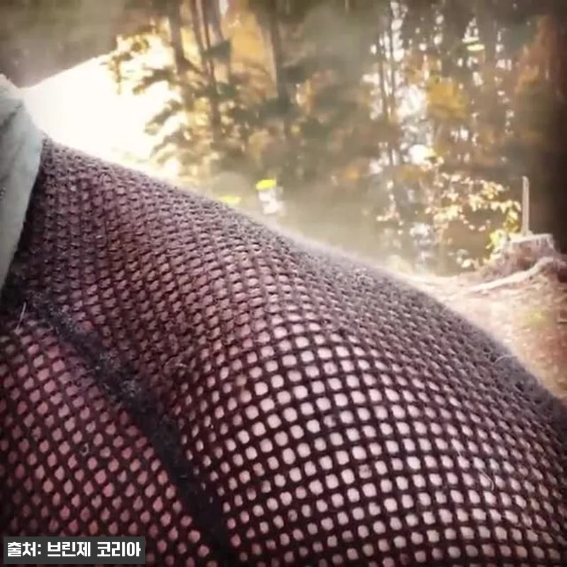 브린제 슈퍼써모 언더레이어 여성전용 관련 이미지 7