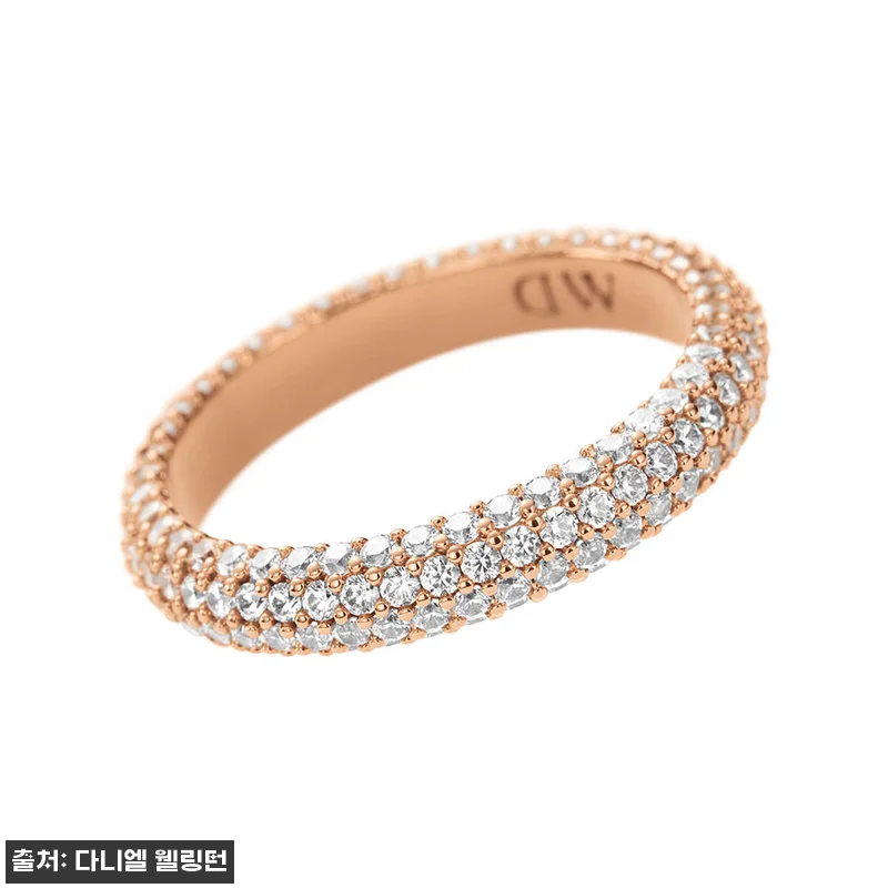 다니엘 웰링턴 PAVE CRYSTAL 관련 이미지 7