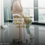 의자 캐리어 앉는 캐리어 타는 라이딩 멀티 등받이 캐리어 기내용 여행가방 사용후기