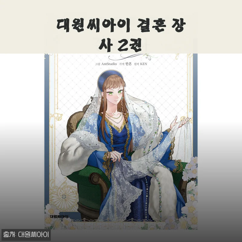 대원씨아이 결혼 장사 2권 사용후기 및 제품 소개