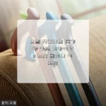 오웰 프리미엄 초경량 카본 지팡이 V9 사용 후기와 상세 소개