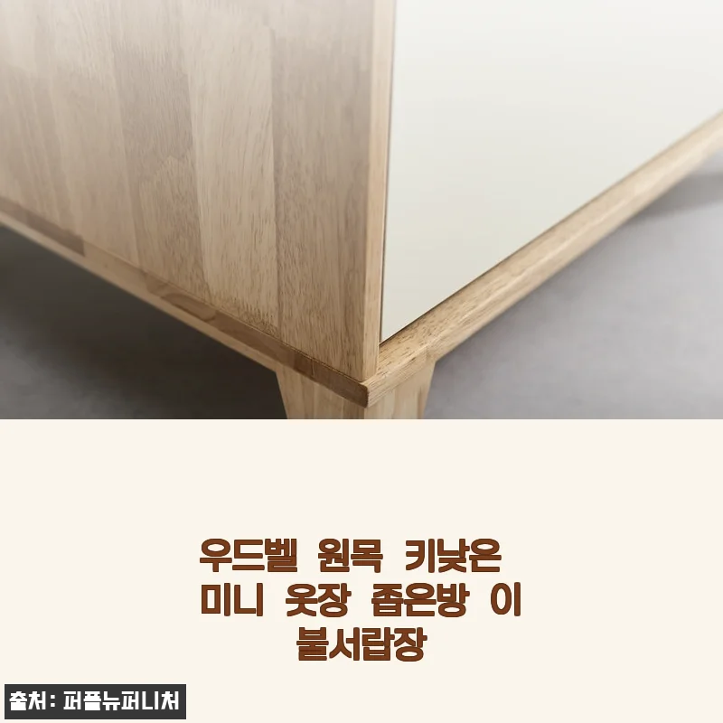우드벨 원목 키낮은 미니 옷장 좁은방 이불서랍장 사용후기