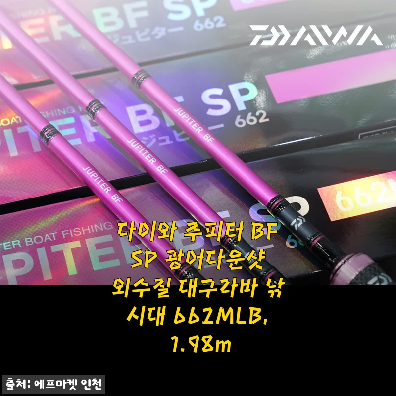 다이와 주피터 BF SP 광어다운샷 외수질 대구라바 낚시대 662MLB 사용후기