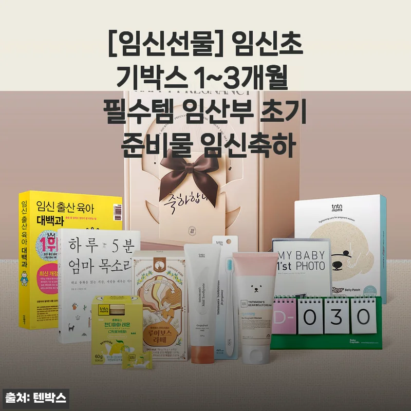 임신초기박스 1~3개월 필수템 사용 후기 및 추천