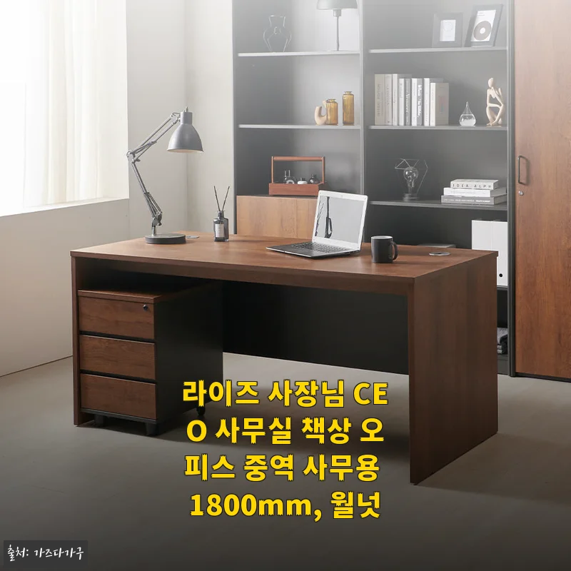 라이즈 사장님 CEO 사무실 책상 월넛 1800mm 사용 후기