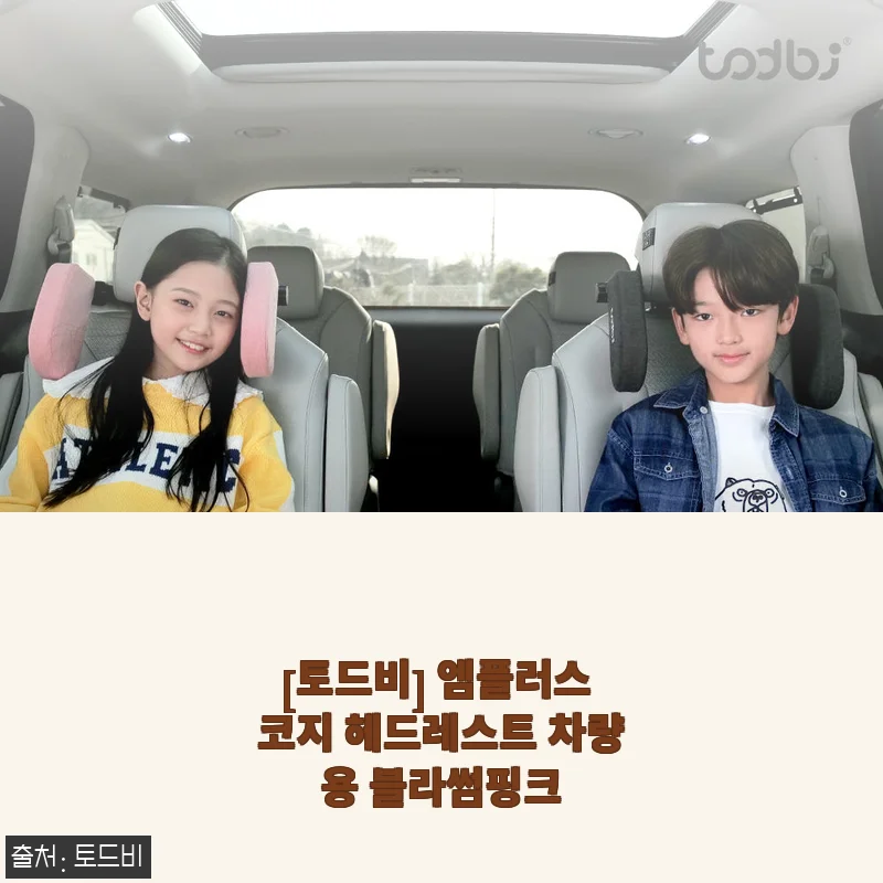 토드비 엠플러스 코지 헤드레스트 블라썸핑크 사용 후기