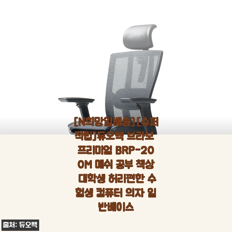듀오백 브라보 프리미엄 BRP-200M 메쉬 의자 사용후기 &ndash; 장시간 공부와 컴퓨터 작업에 딱 맞는 선택