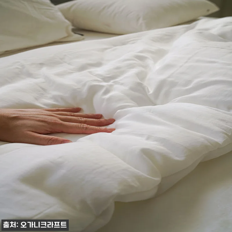 겨울잠 장인 등극?! 오가니크라프트 관련 이미지 1