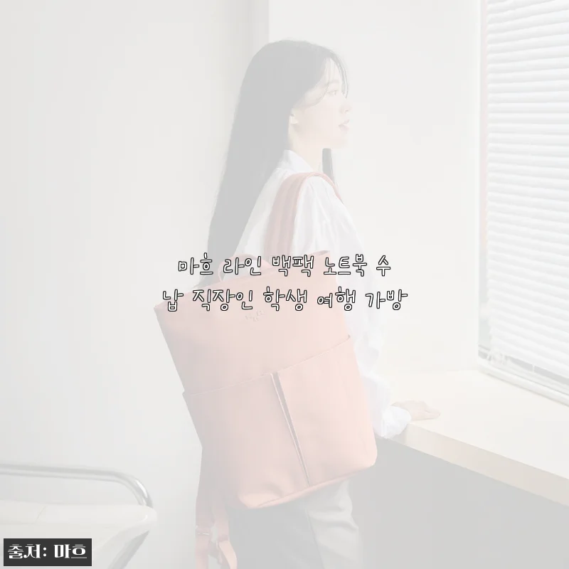 마흐 라인 백팩 노트북 수납 직장인 학생 여행 가방, 출퇴근부터 여행까지 완벽한 가성비 백팩 후기