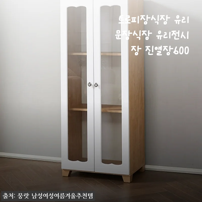좁은 공간도 갤러리로 바꿔주는 트로피장식장 유리문장식장 구매 후기