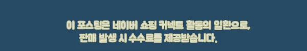 나노휠 라인S 면허필요없는 접이식 전기자전거 48V 10Ah, 할인 조건부터 A/S까지 꼼꼼히 본 구매 전 체크 후기 11 이해관계문구